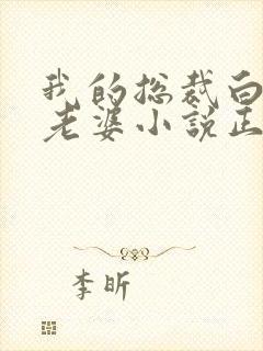 我的总裁白富美老婆小说正版