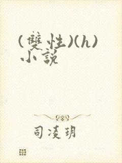 (双性)(h)小说