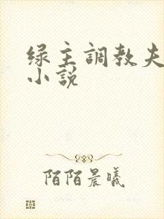 绿主调教夫妻奴小说