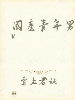 国产青年男男gv封面