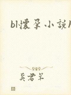 bl怀孕小说h
