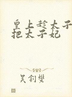 皇上趁太子出宫把太子妃