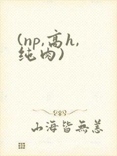 (np,高h,纯肉)