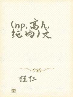 (np,高h,纯肉)文