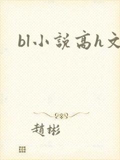 bl小说高h文