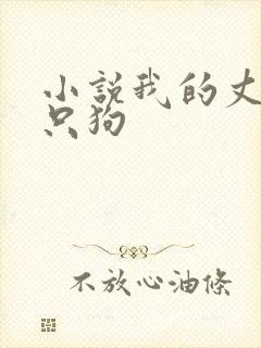 小说我的丈夫是只狗