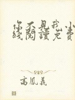 你不见我小说在线阅读免费