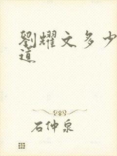 刘耀文多少岁出道