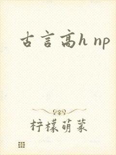 古言高h np