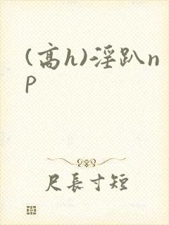 (高h)淫趴np
