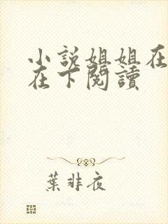 小说姐姐在上我在下阅读
