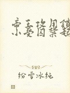 帝王攻用锁链把小受囚禁起来封面