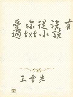 爱你从没有后悔过txt小说