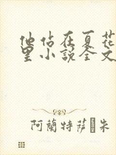 他站在夏花绚烂里小说全文免费阅读