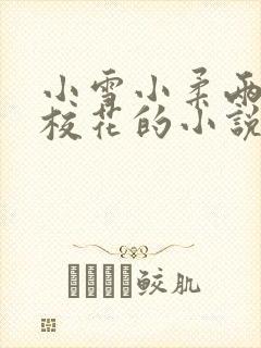 小雪小柔两个大校花的小说免费阅读