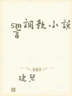 sm调教小说古言封面