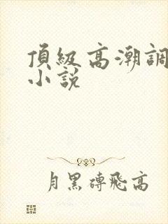 顶级高潮调教h小说