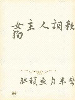女主人调教骚母狗