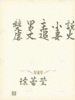 双男主小说推荐虐文追妻火葬场