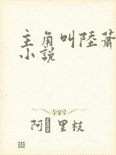 主角叫陆萧云的小说