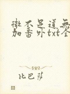 微不足道无删减加番外txt全文免费阅封面