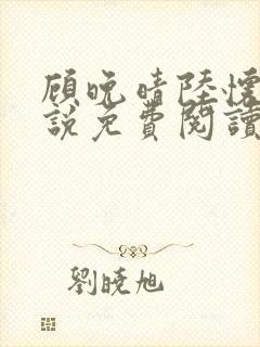 顾晚晴陆怀铮小说免费阅读最新章节封面