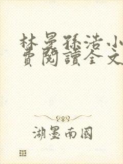 林曼孙浩小说免费阅读全文最新章节