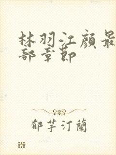 林羽江颜最新全部章节
