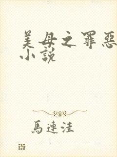 美母之罪恶天使小说