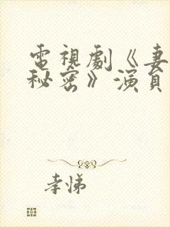 电视剧《妻子的秘密》演员表