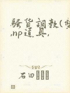 骚货调教(双性,np道具,