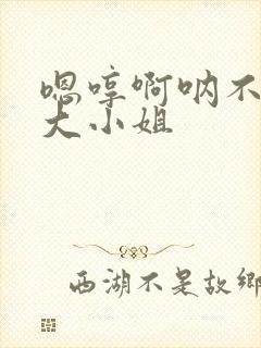 嗯哼啊呐不调教大小姐封面