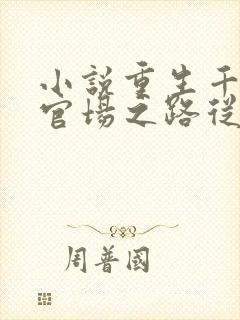 小说重生千禧年官场之路从片警开始封面