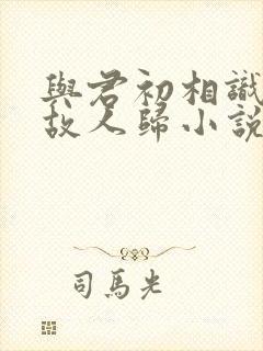 与君初相识恰似故人归小说