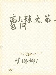 高h辣文第二书包网