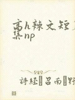 高h辣文短篇合集np