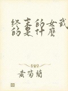 终末的女武神讲的是什么