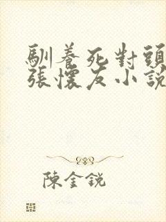 驯养死对头by张怀友小说全文免费封面