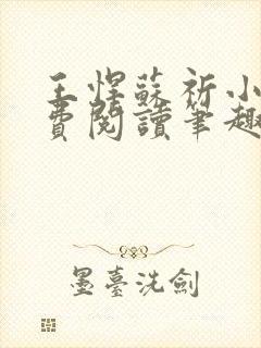 王悍苏祈小说免费阅读笔趣阁最新