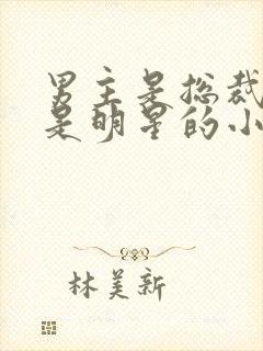 男主是总裁女主是明星的小说封面