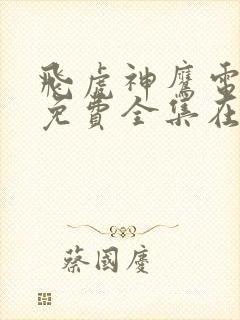 飞虎神鹰电视剧免费全集在线观看