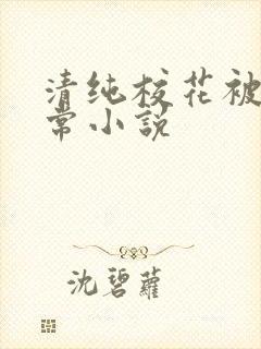 清纯校花被炒日常小说封面