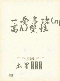 一受多攻(np高h)双性封面