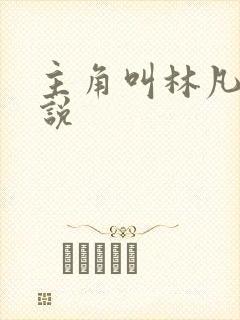 主角叫林凡的小说