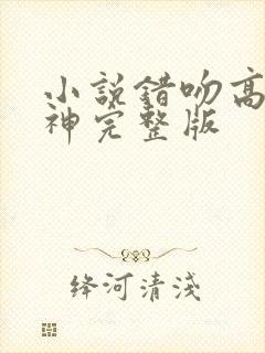 小说错吻高冷男神完整版封面