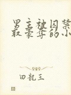 男主被囚禁被强取豪夺的小说