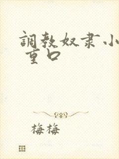 调教奴隶小说虐 重口