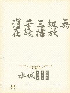 涓子三级无删减在线播放