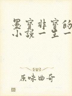 墨宝非宝的全部小说一生一世美人骨