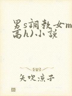 男s调教女m(高h)小说